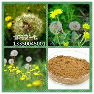 蒲公英提取物